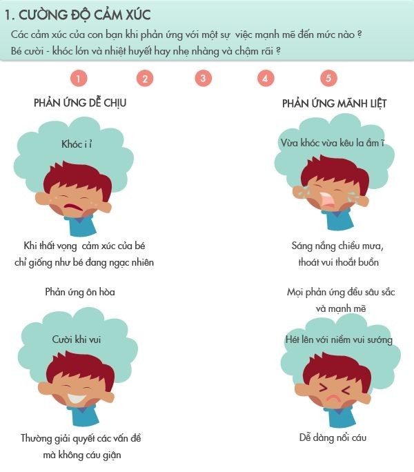 Biểu đồ 9 bước chấm điểm tính khí cho các bé