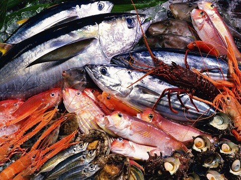 Hạn chế ăn hải sản khi bị nổi mề đay